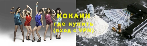 прущие грибы Волгодонск