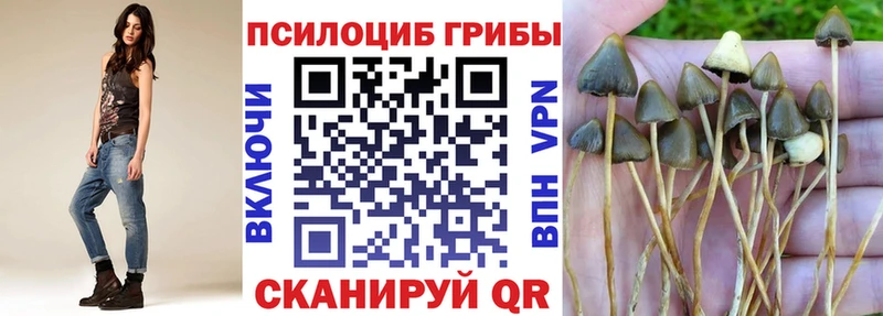 blacksprut маркетплейс  Буй  Галлюциногенные грибы прущие грибы 